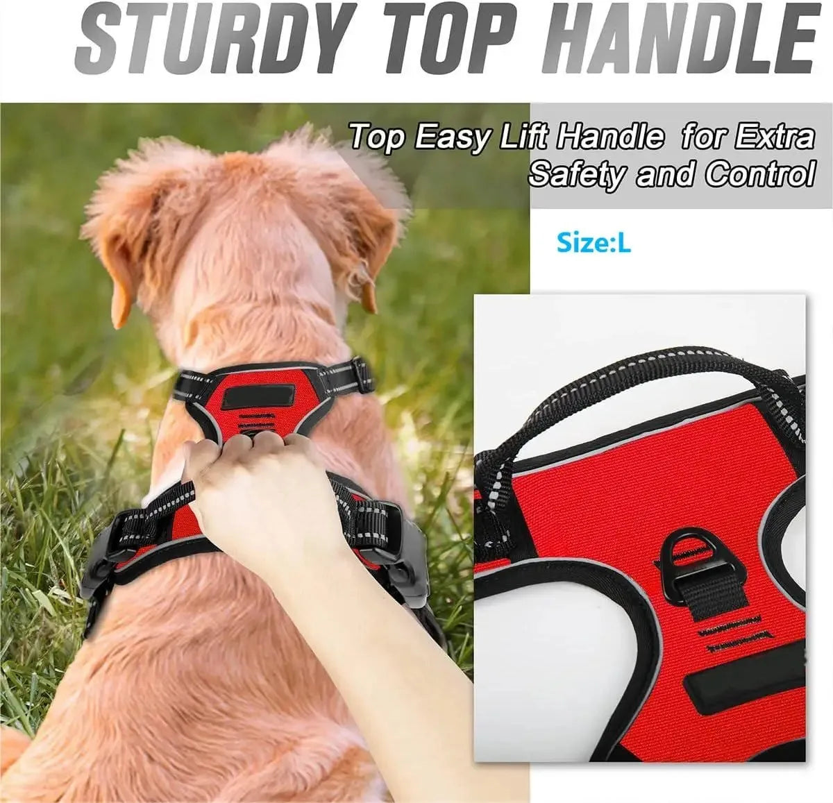 PawsLux Leather Dog Collar, Harness and Leash Set