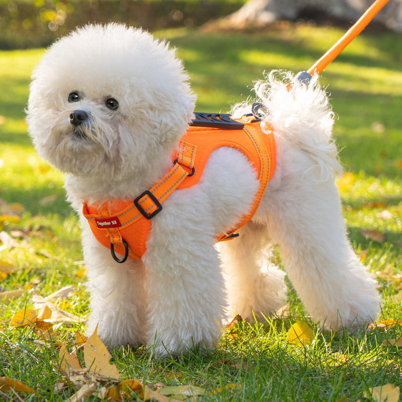 HappyPaw Cushioned No-Pull Harness — Integrated Top Handle, Padded Straps