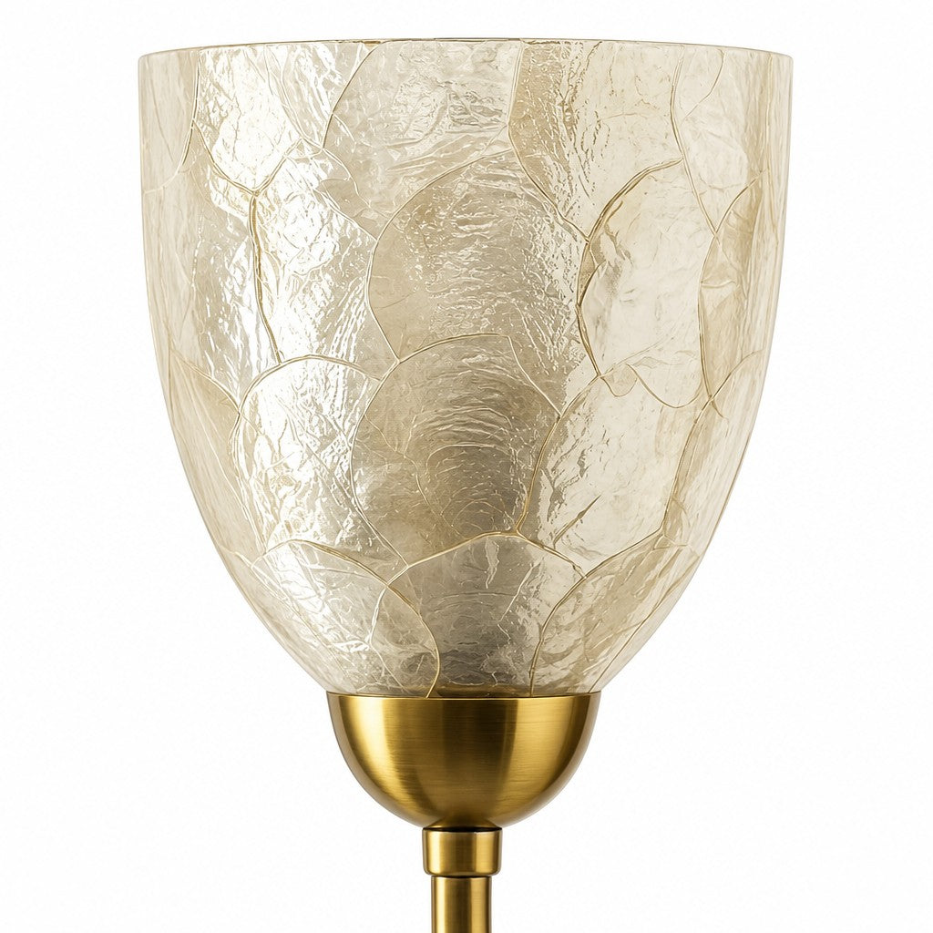 Sculptural Shell Inspired Modern Wall Lamp for Bedside and Living Room | Souliia