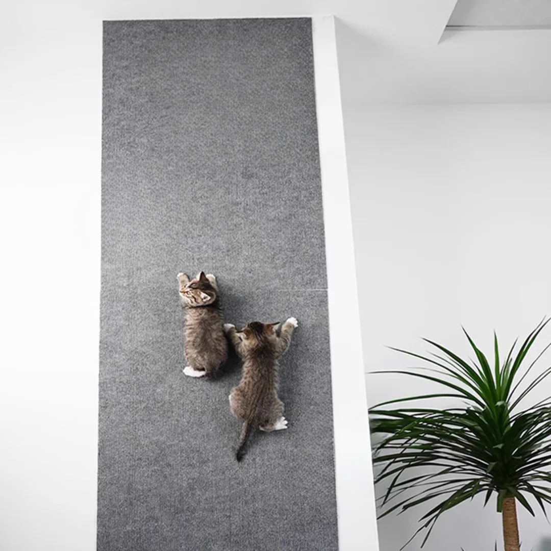 Transform Your Furniture into Cat-Friendly Comfort Zones Without Scratches - Souliia