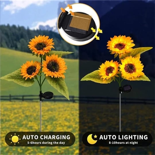 RamaraSun Girasoli solari — Illumina le tue notti con l'incanto del giardino, senza sforzo - Souliia