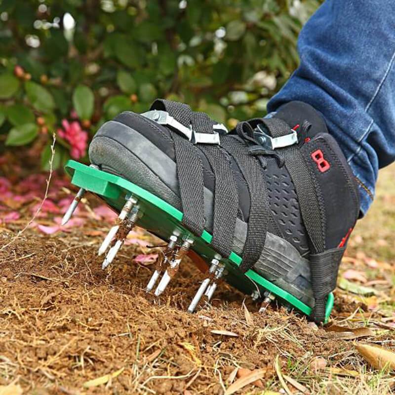 Turf Enhancer – Transform Every Step into a Lush, Green Lawn Secret! - Souliia