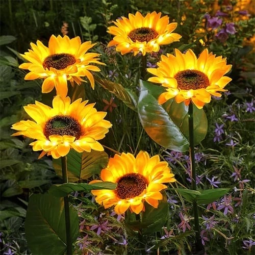 RamaraSun Girasoli solari — Illumina le tue notti con l'incanto del giardino, senza sforzo - Souliia