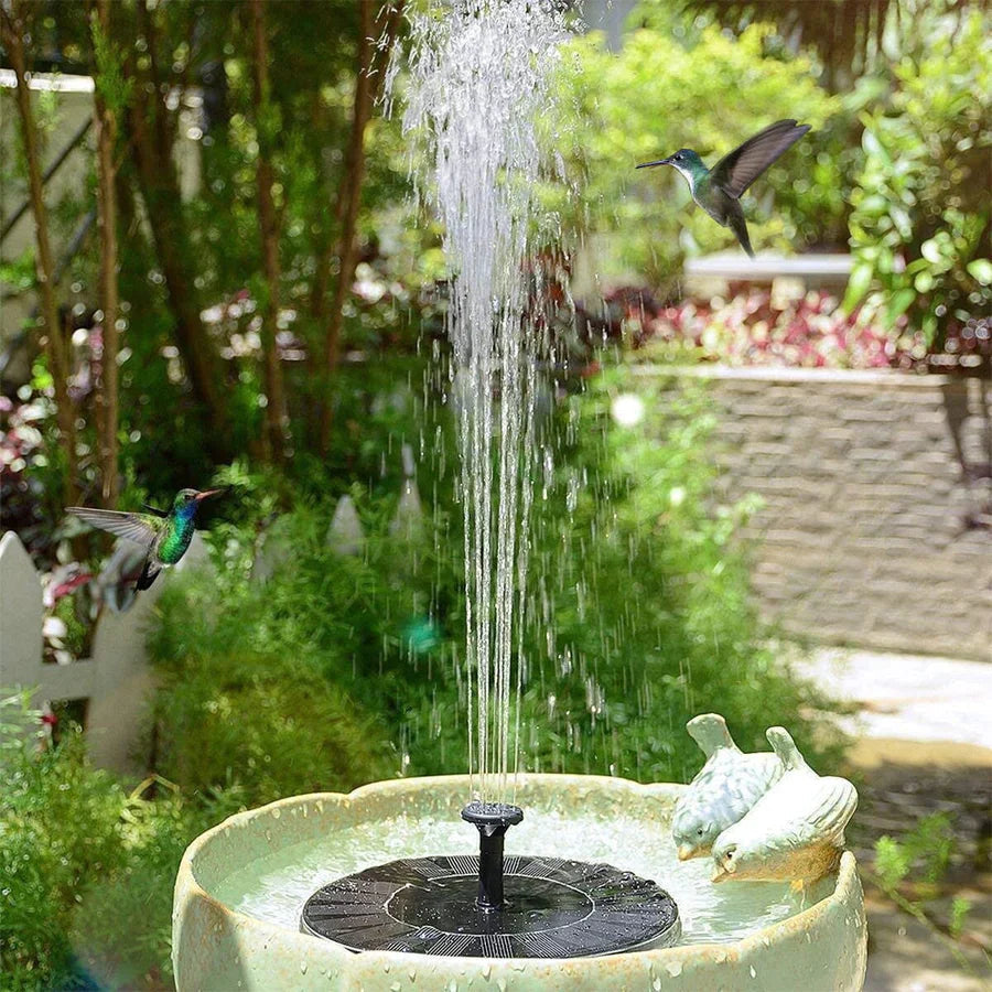 Transform Your Garden into a Lively Oasis of Freshness and Serenity - Souliia