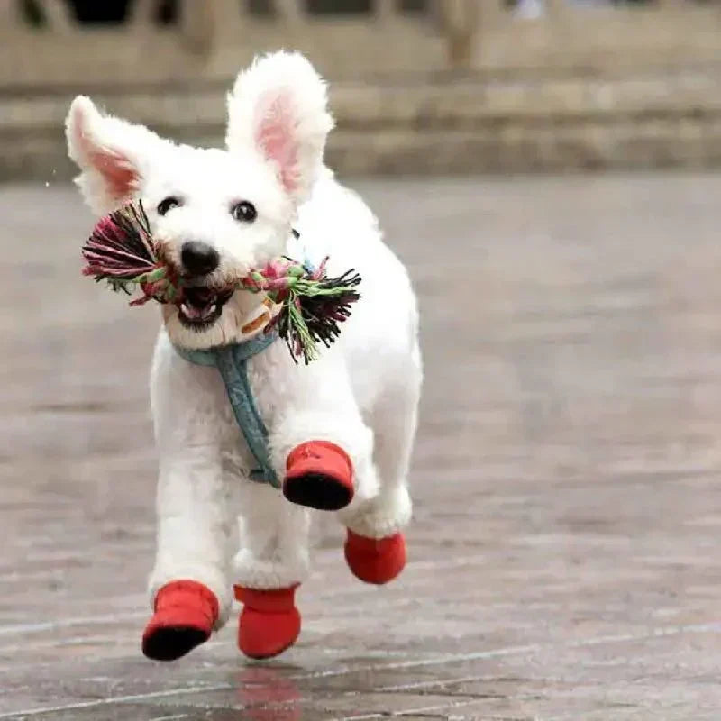 Stivali impermeabili per cani con suola antiscivolo per la protezione invernale - Souliia