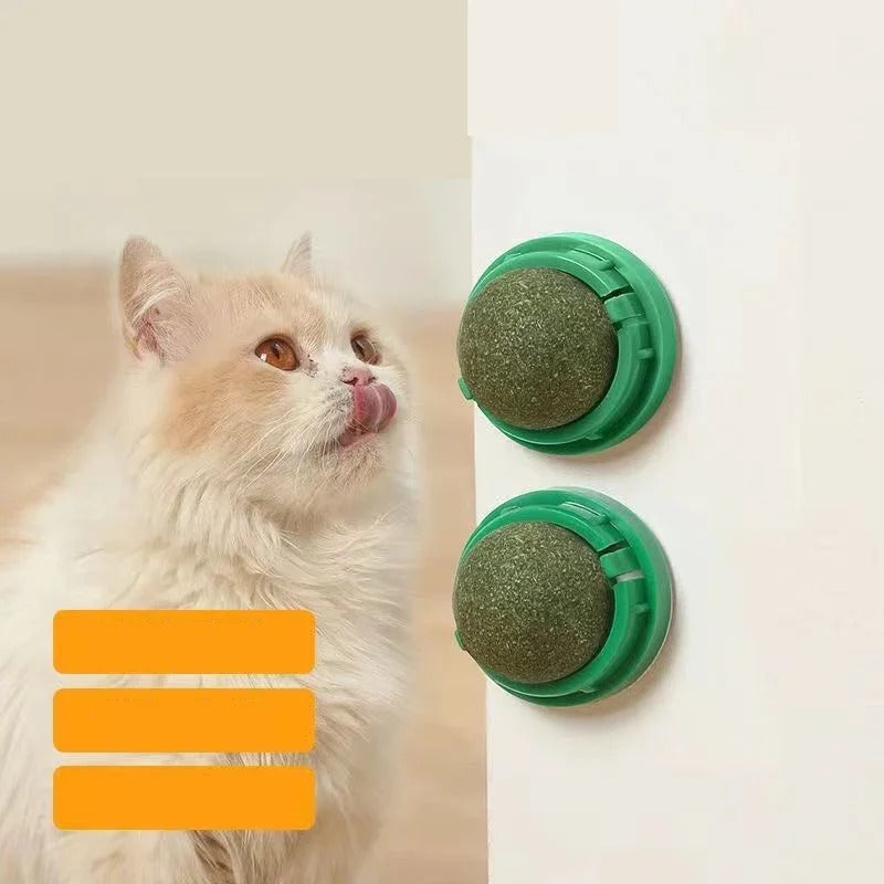 4-delige premium kattenkruidballen - gebitsverzorging en speelse verrijking