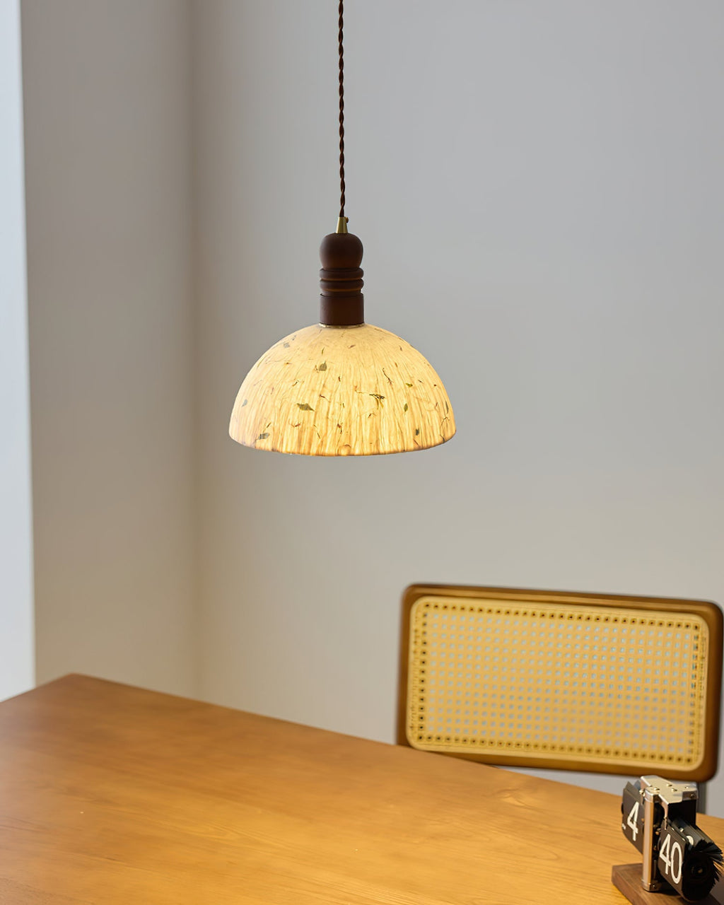 Sylvane Dome Pendant Lamp | Souliia