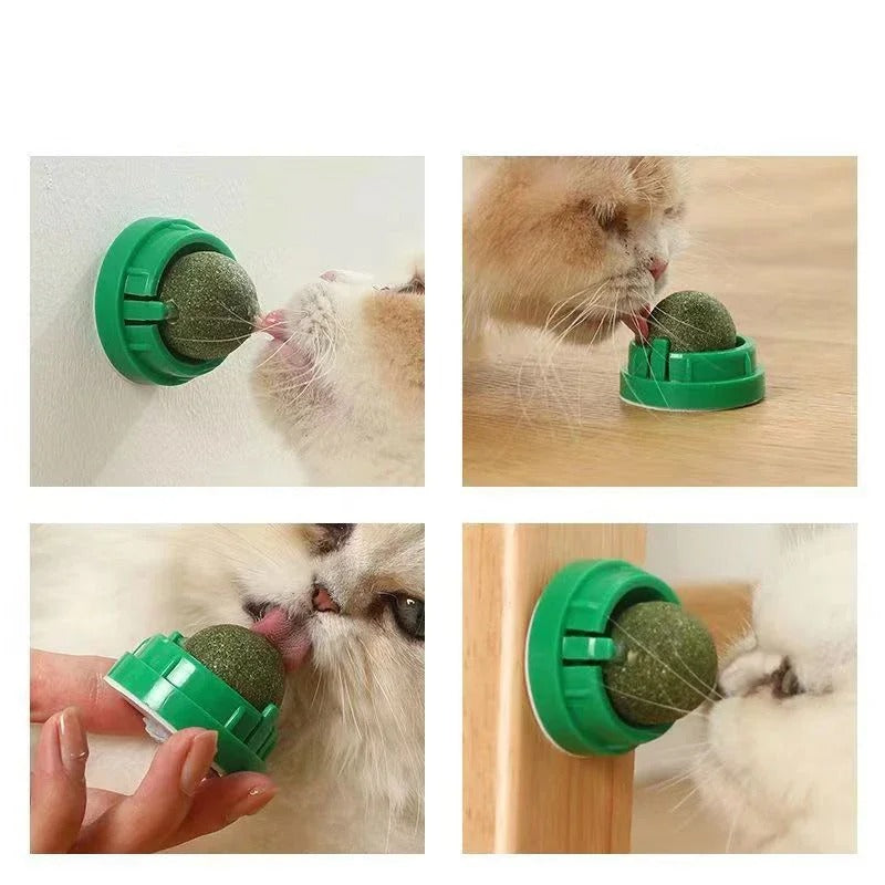 4-delige premium kattenkruidballen - gebitsverzorging en speelse verrijking