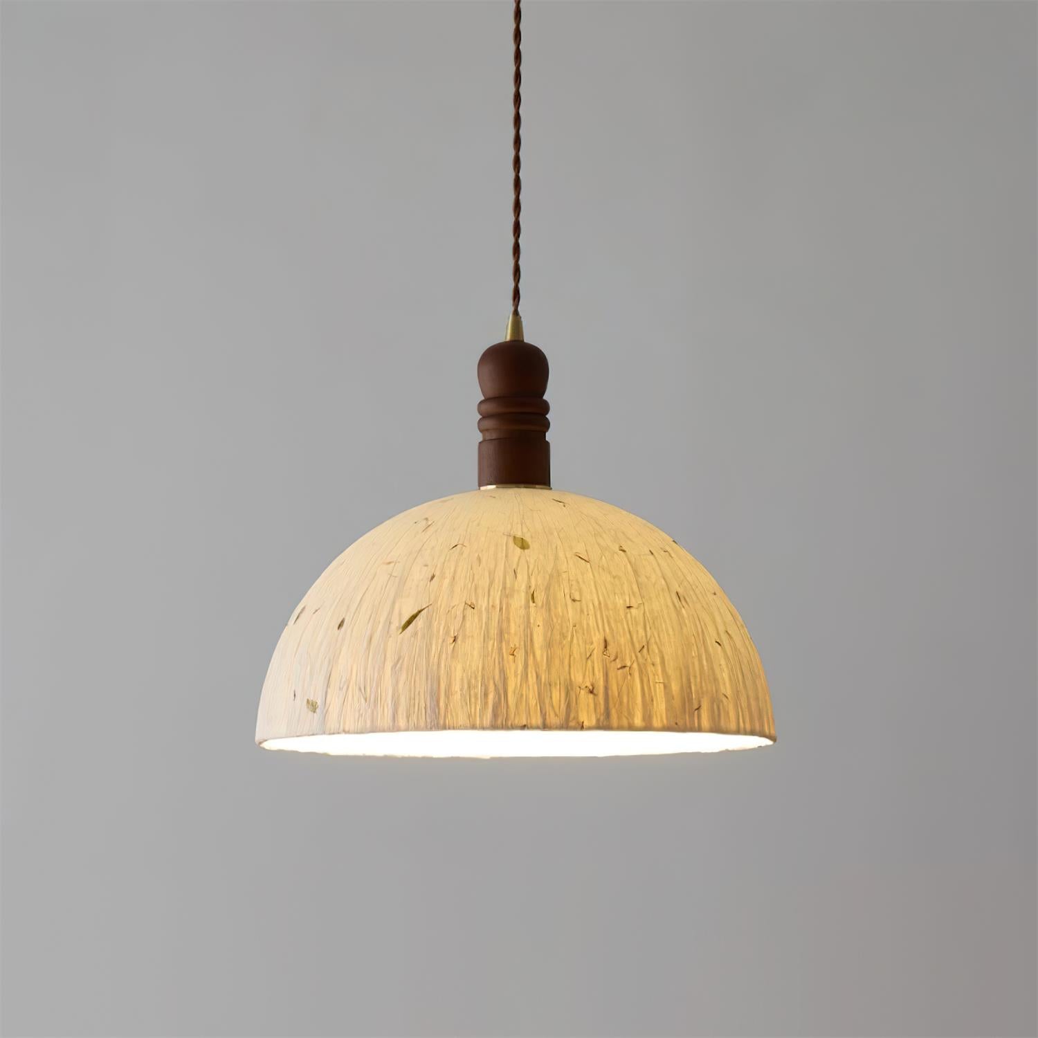 Sylvane Dome Pendant Lamp | Souliia