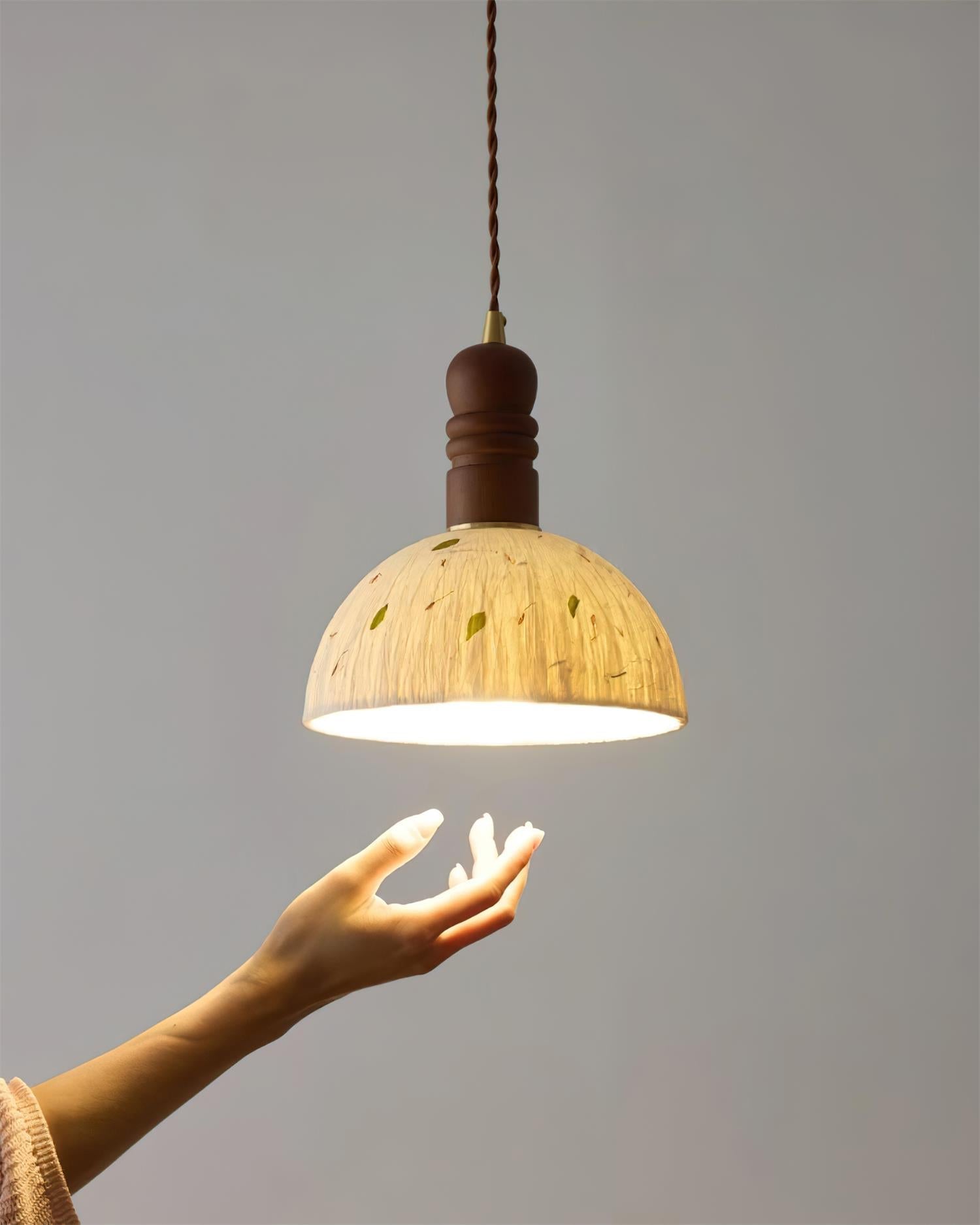 Sylvane Dome Pendant Lamp | Souliia