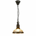 Vintage Industrial Billiard Pendant Light with Glass or Iron Shades | Souliia