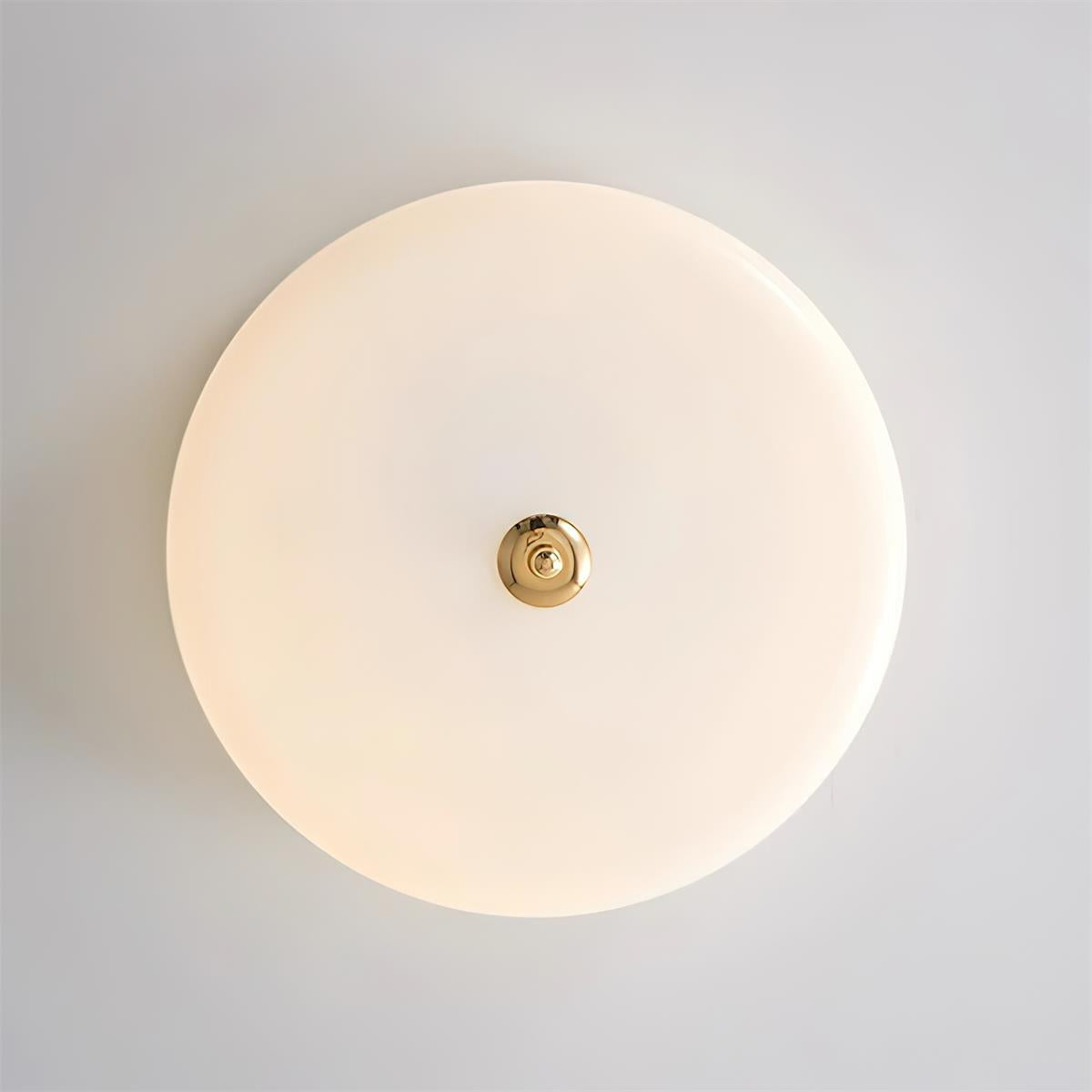 Rowen Ceiling Light | Souliia