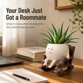 VivaChairs — Turn Any Succulent Into a Smiling Desk Buddy in Seconds - Souliia