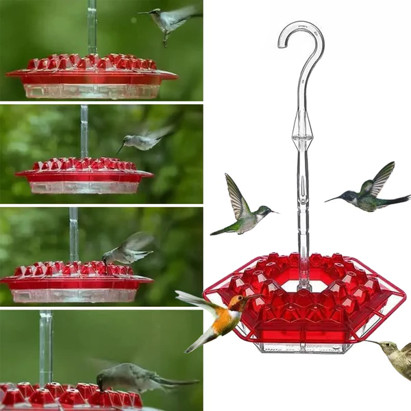 Kolibri-Futterspender mit 30 ameisen- und bienensicheren Öffnungen