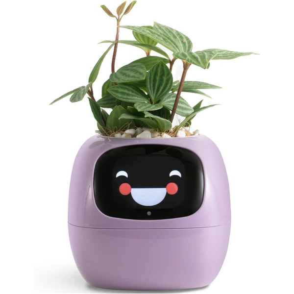 スマート植木鉢アイビー - ジェスチャー反応型植物コンパニオン