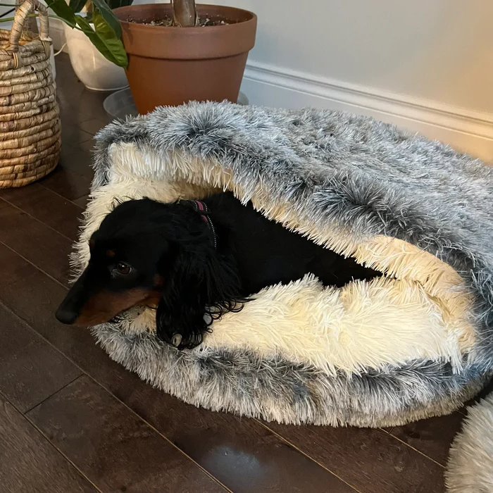 SnuggleCave Plush Pet Bed for Dogs & Cats — Sizes & Colors