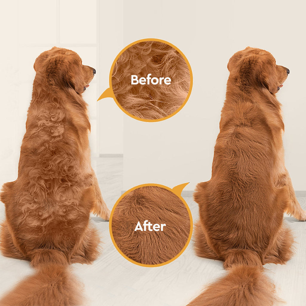 Kit de toilettage sous vide pour animaux avec aspiration silencieuse - Souliia