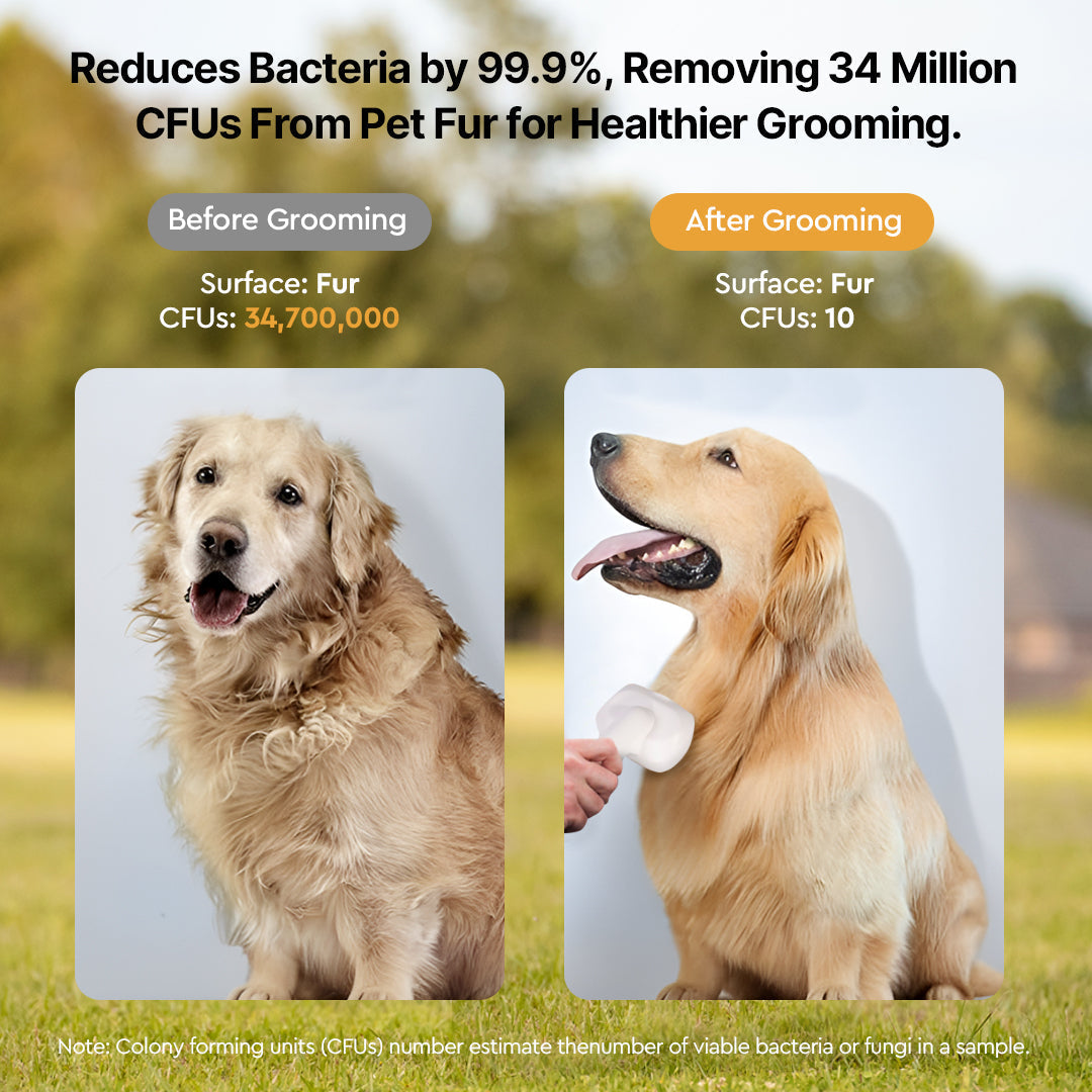 Kit de toilettage sous vide pour animaux avec aspiration silencieuse - Souliia