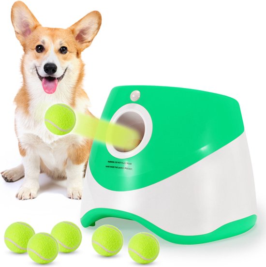 Unleash Endless Fun for Your Energetic Champion with PlayPulse - Souliia